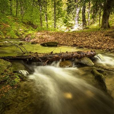 南宫28手机app下载