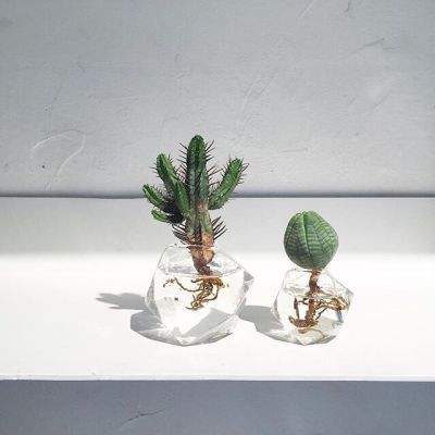 AG官方平台下载地址手机app下载