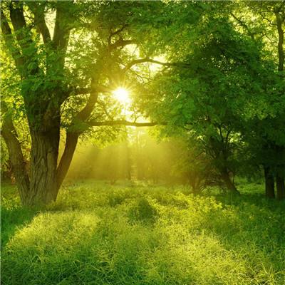 kaiyun登录入口登录